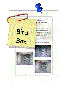 8_The_Bird_Box.pdf