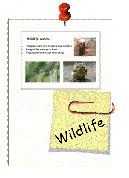 2_Wildlife_Watch.pdf