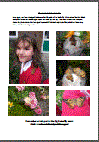 The Life Cycle of the Butterfly-1.pdf